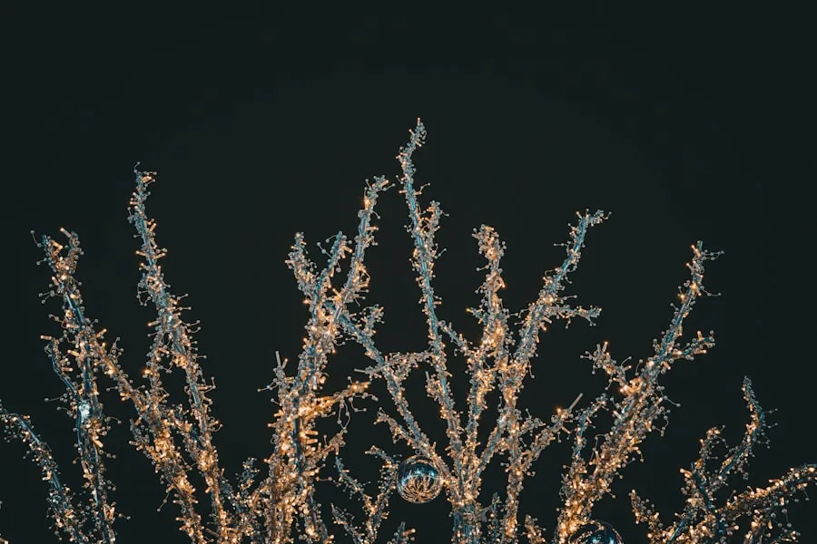 Svaneklars juleløfte