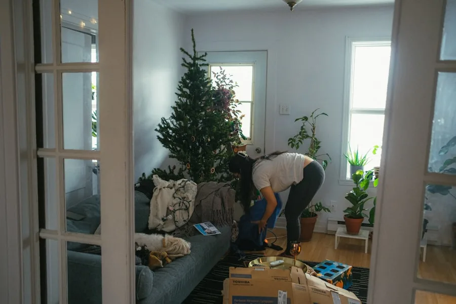 Photo December cleaning